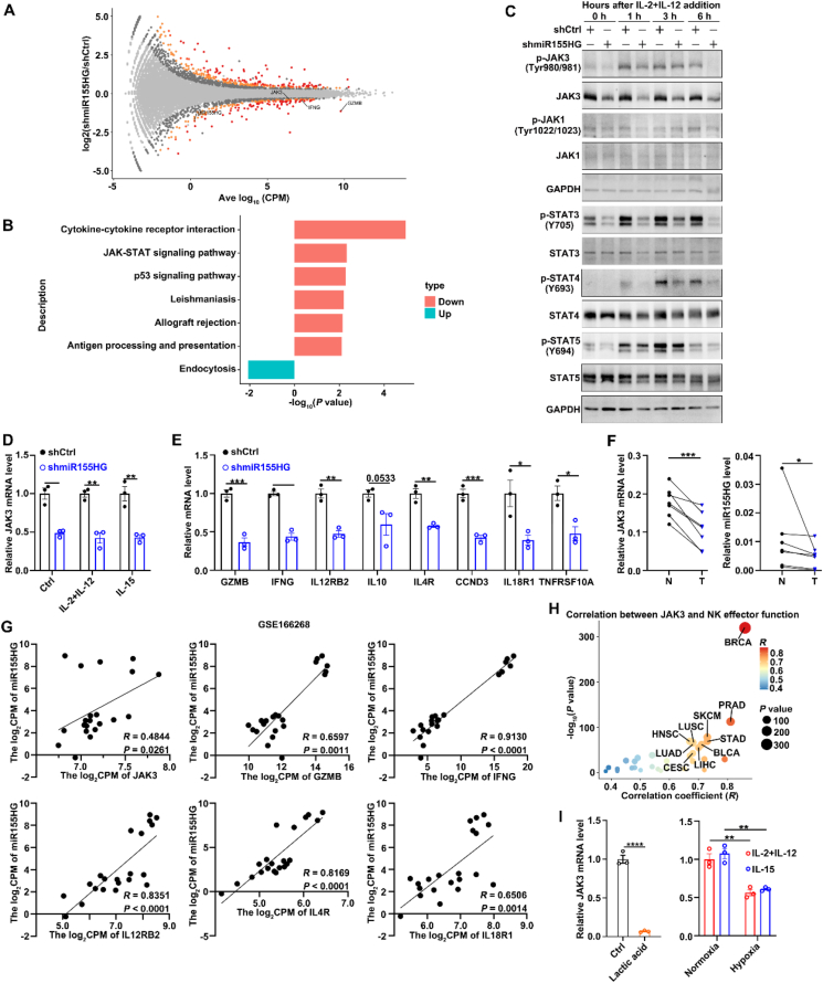 PMC12138116 – fig4