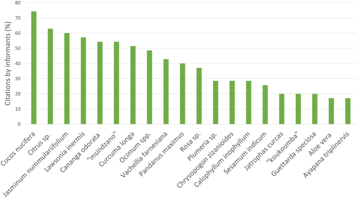 PMC11334832 – fig4