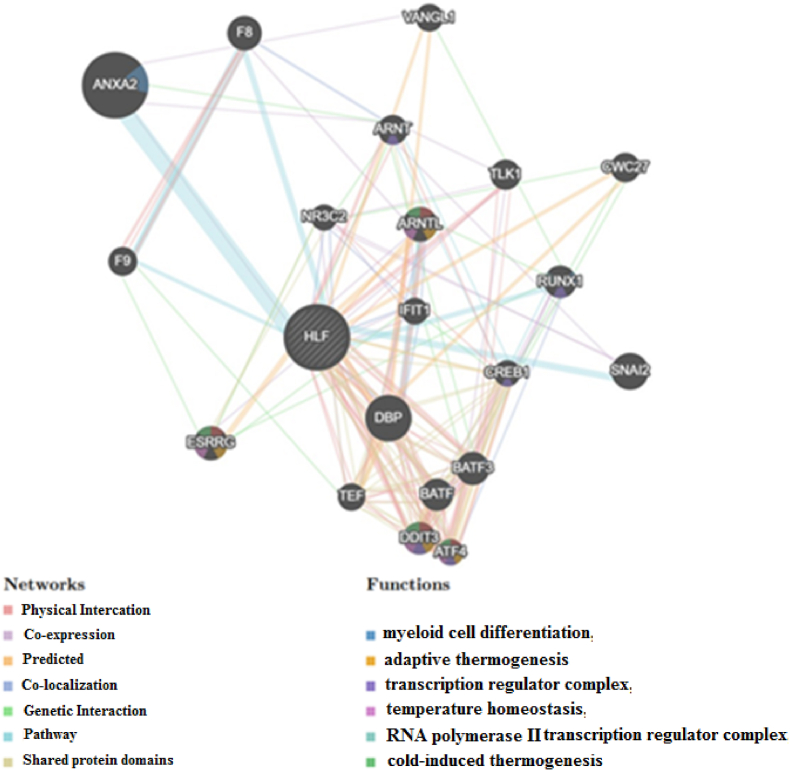 PMC11070826 – fig4