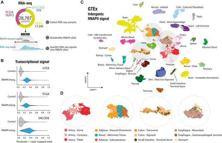 PMC10589727 – fig4