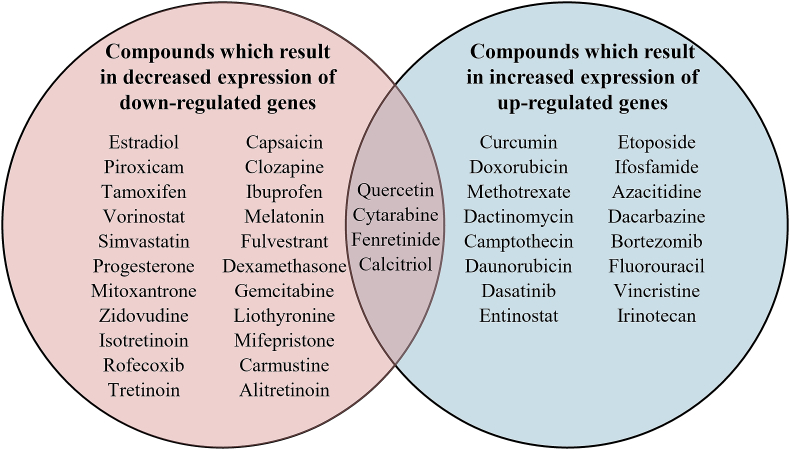 PMC12818233 – fig4