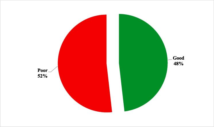 PMC10874849 – f0020