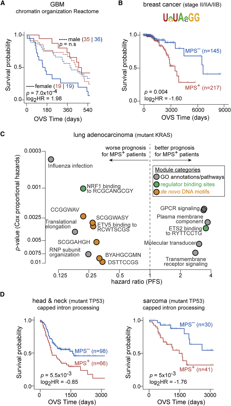 PMC10025453 – fig4