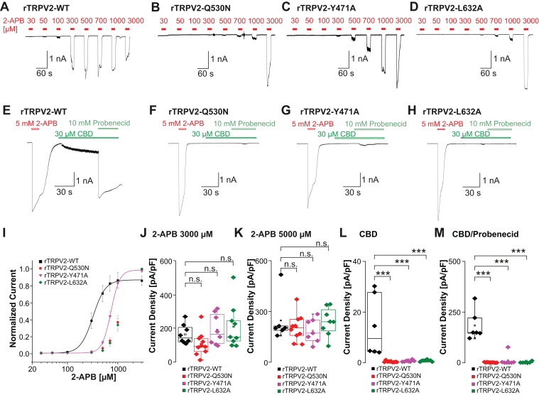 PMC12489355 – fig4