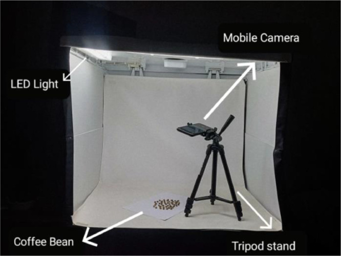 PMC11978365 – fig0004