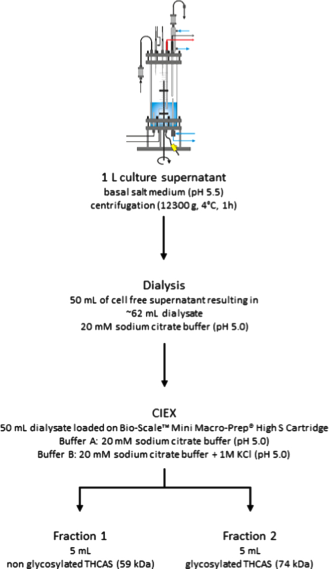 PMC4560726 – f0020
