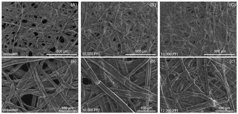 PMC10850592 – fig4