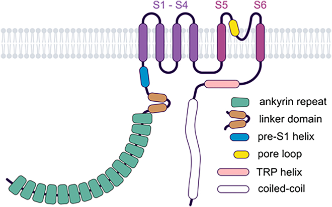 PMC12799467 – fig5