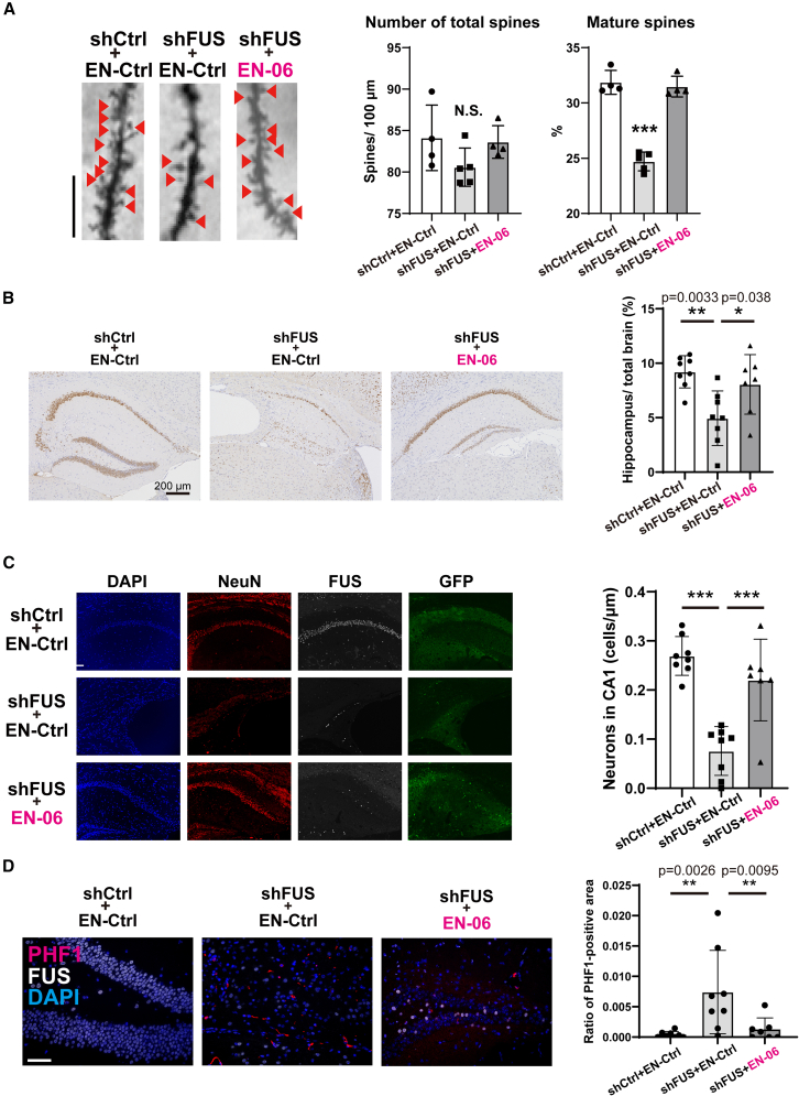 PMC11979468 – fig5