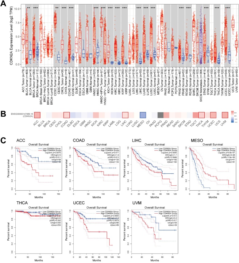 PMC11848474 – fig0025