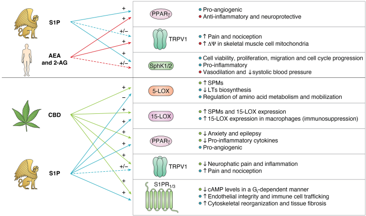 PMC12597274 – fig5