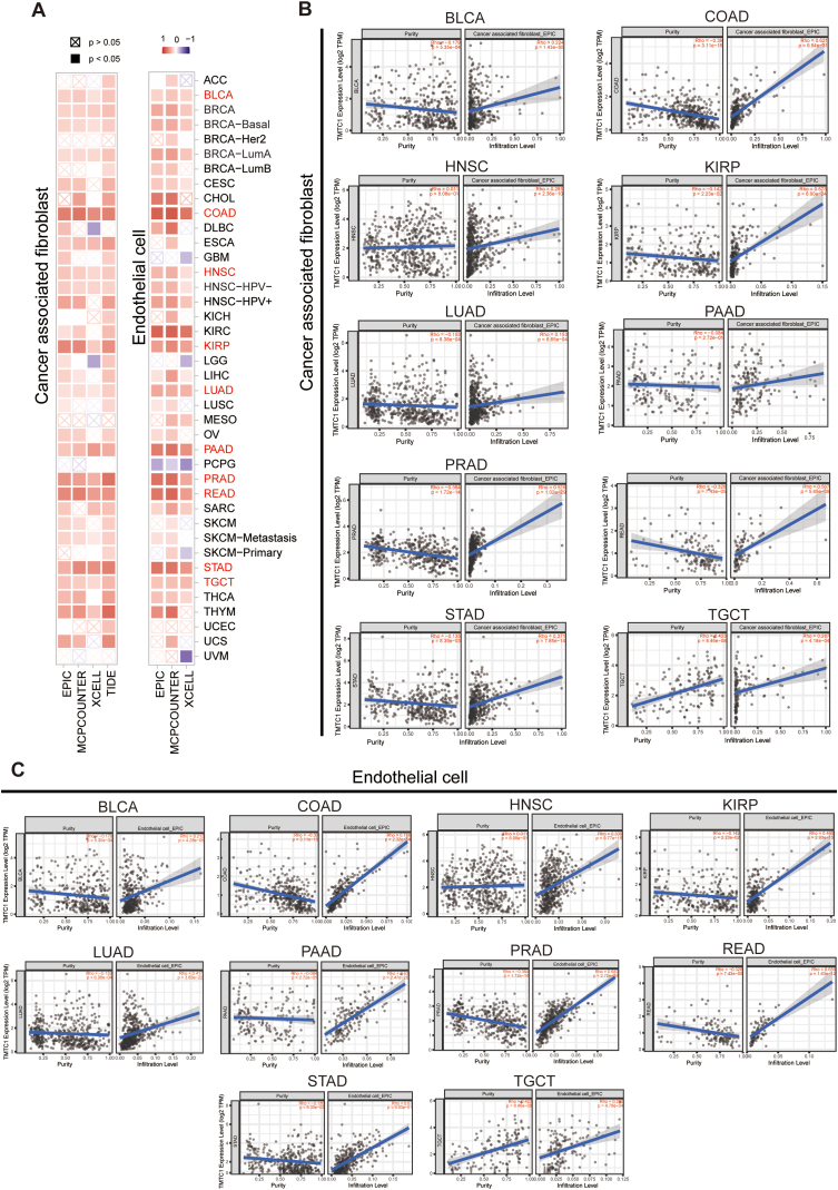 PMC11471174 – fig5