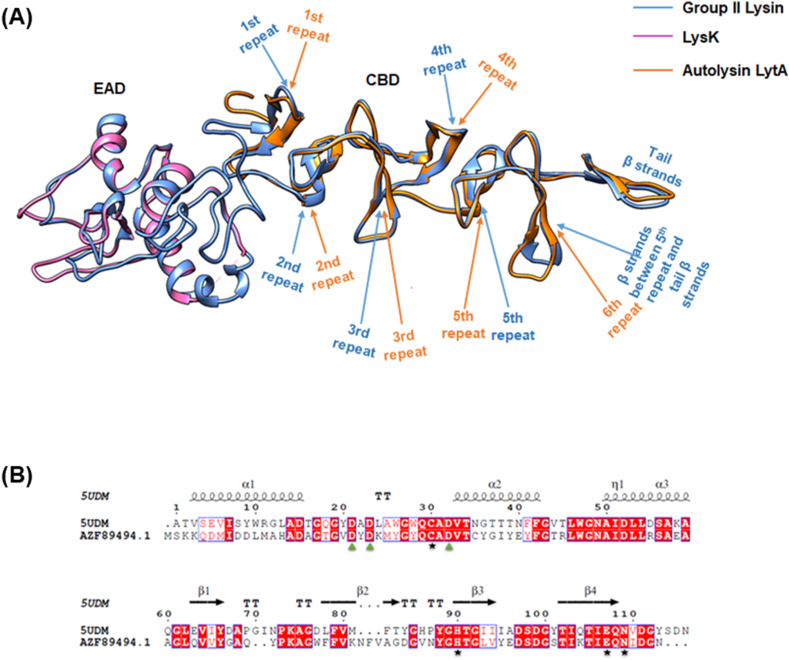 PMC11525621 – fig5