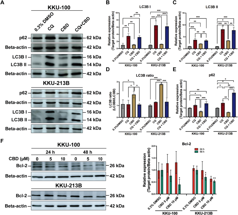 PMC11752120 – fig5