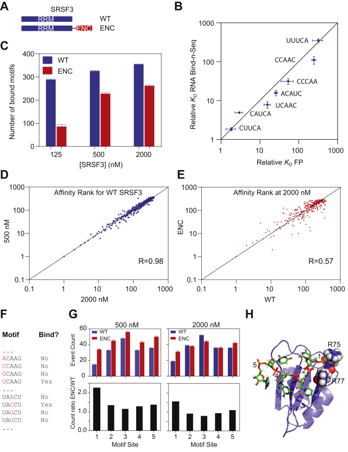 PMC8348266 – fig5
