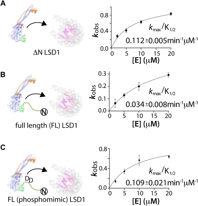 PMC11388019 – fig5
