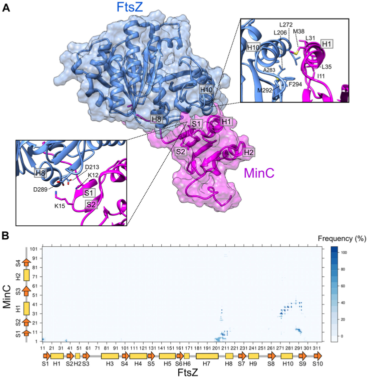 PMC11938149 – fig5