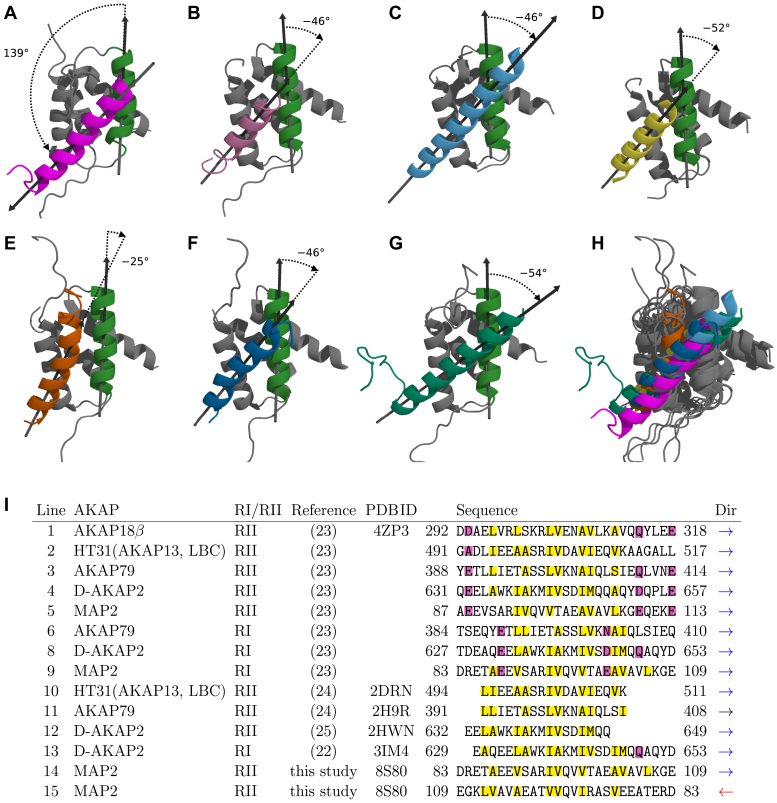 PMC11367651 – fig5