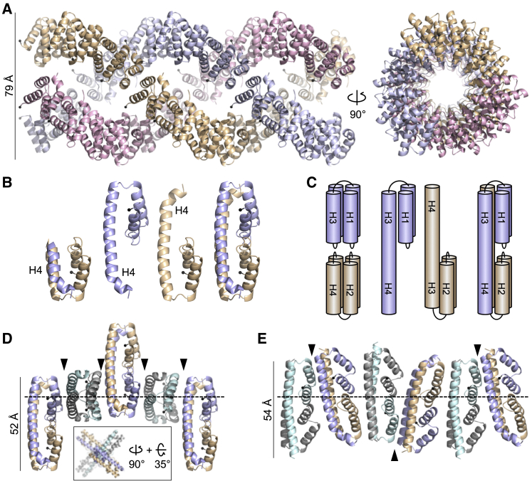 PMC7614096 – fig5