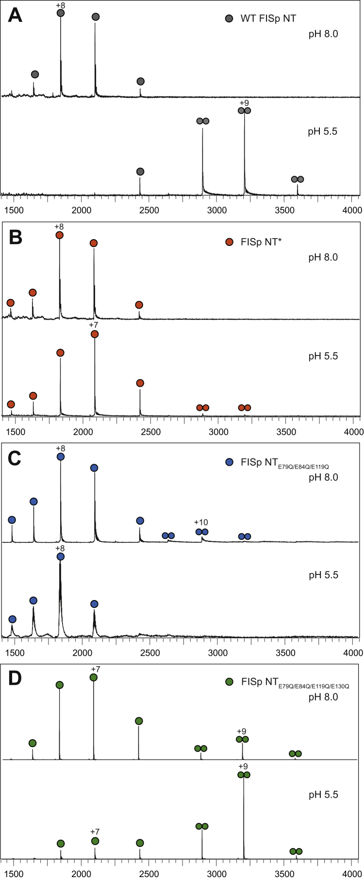 PMC9097459 – fig5