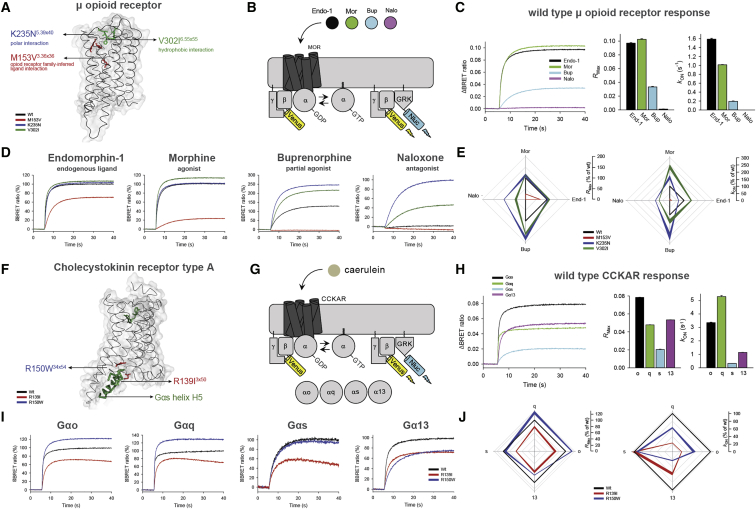 PMC5766829 – fig5