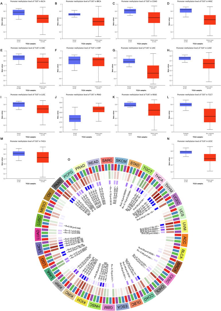 PMC10167782 – f0025