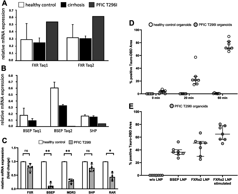 PMC12605006 – fig5