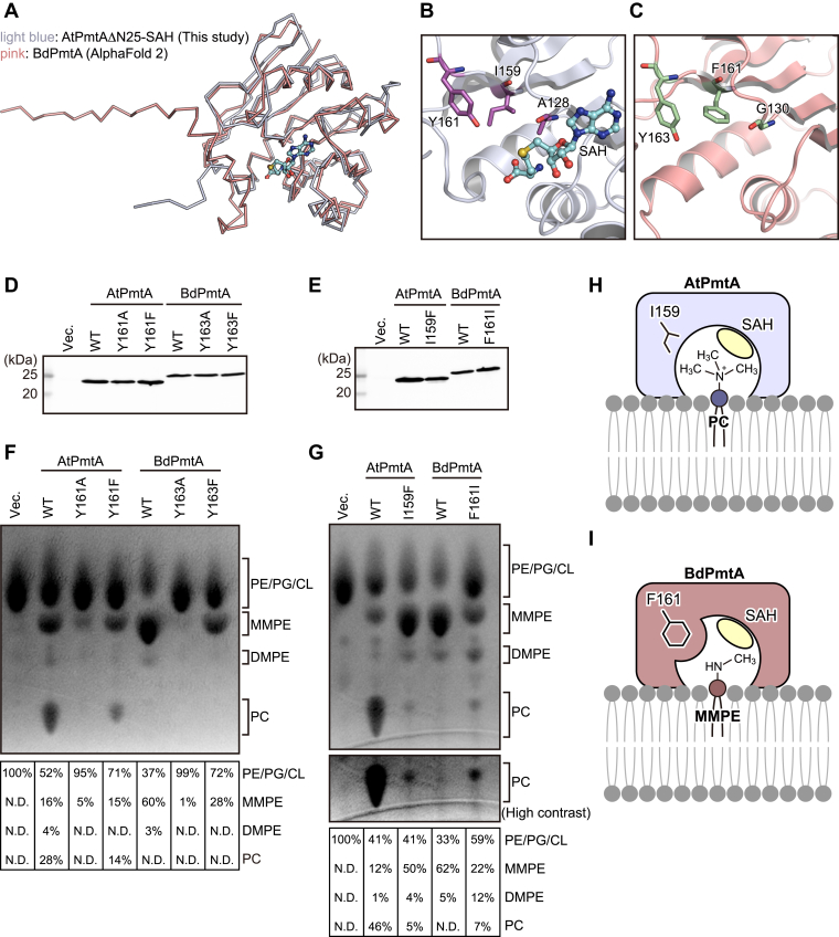 PMC12139422 – fig5
