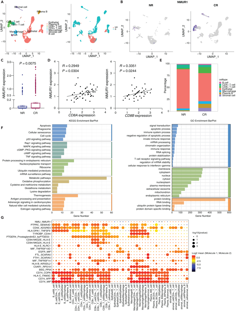 PMC11269305 – fig5