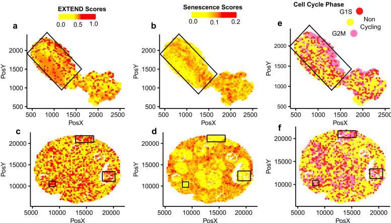 PMC12663852 – fig0025