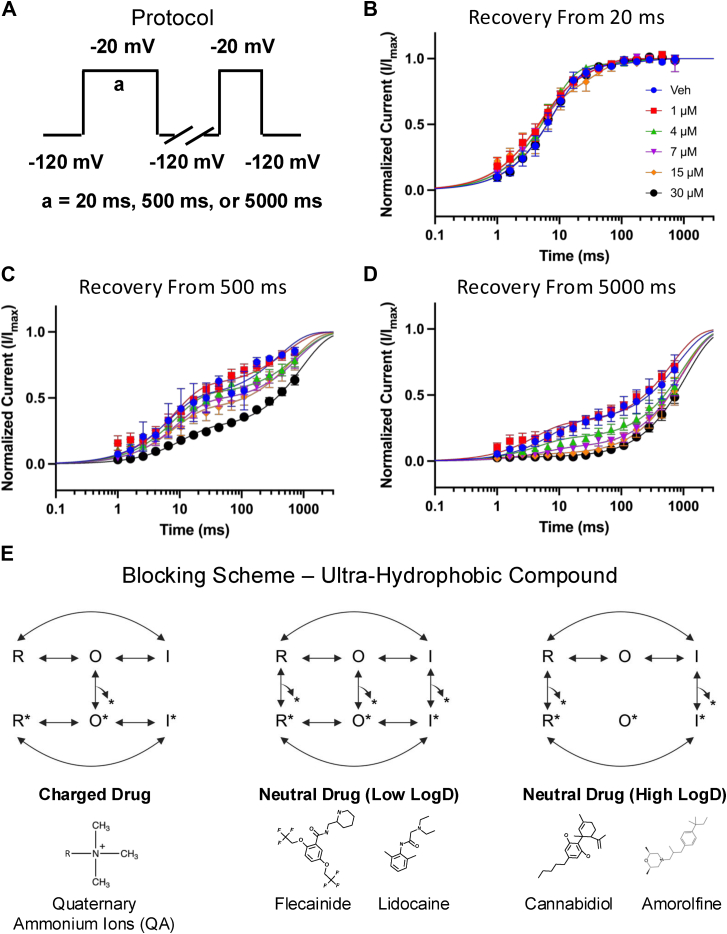 PMC12004706 – fig5