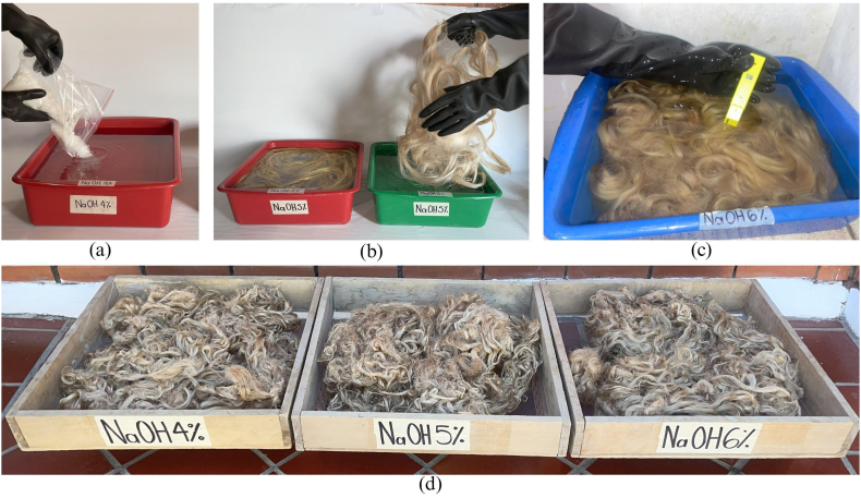 PMC11783020 – fig5