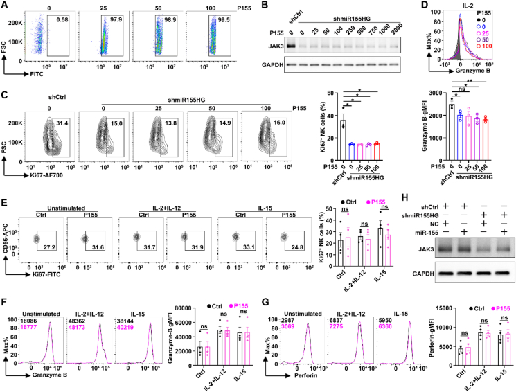 PMC12138116 – fig5