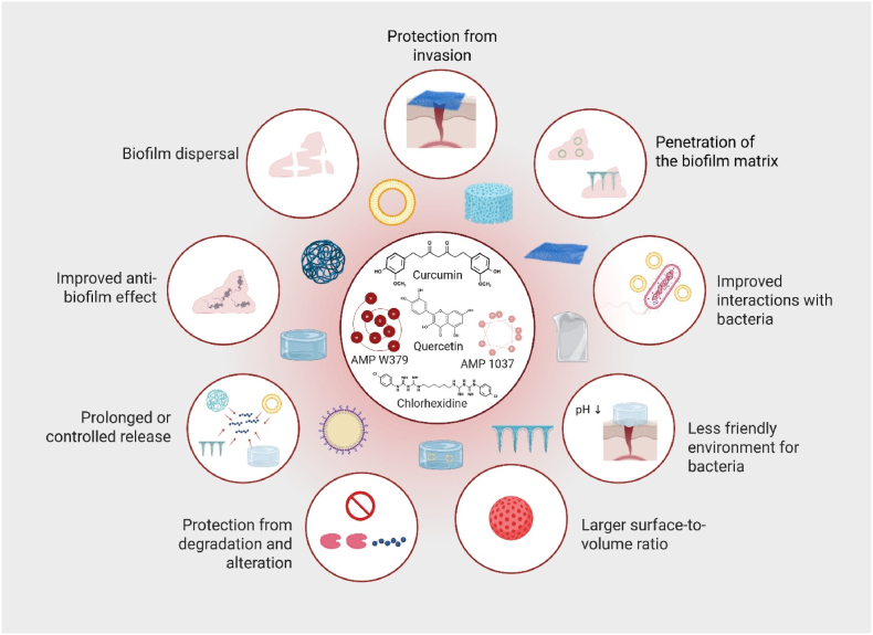 PMC12808496 – fig5