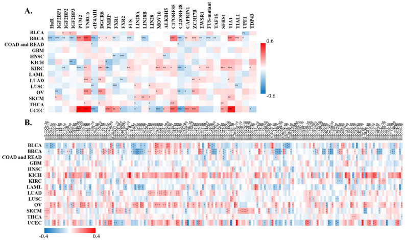 PMC9535293 – fig5