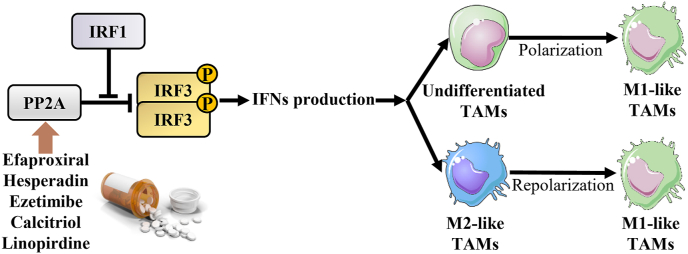 PMC12818233 – fig5
