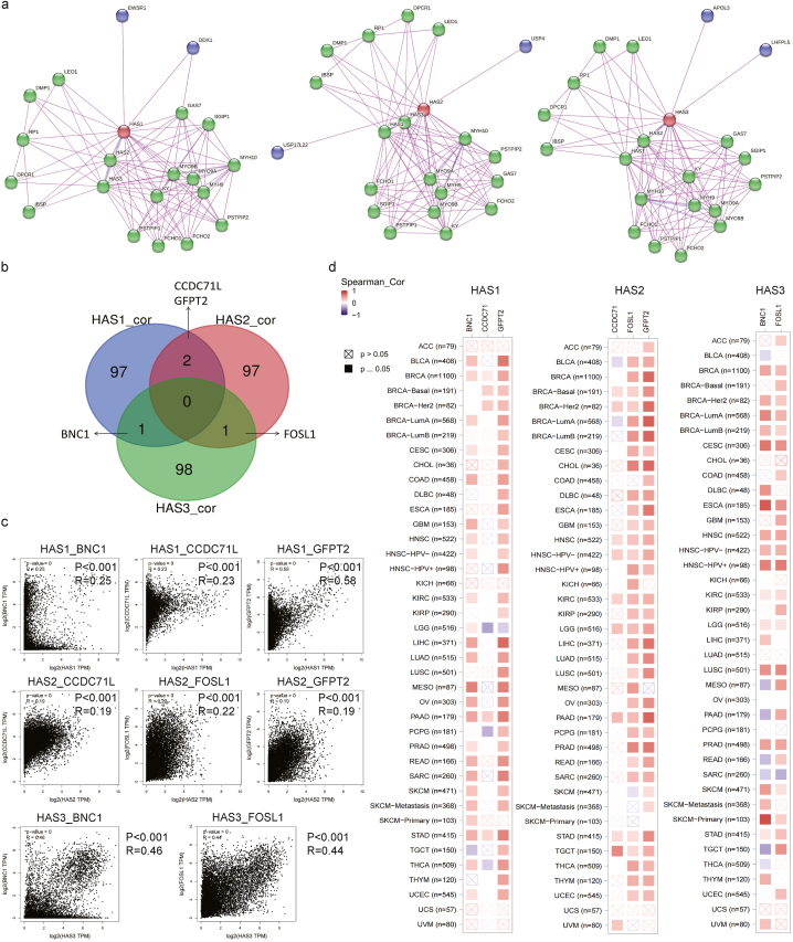PMC10448108 – fig5