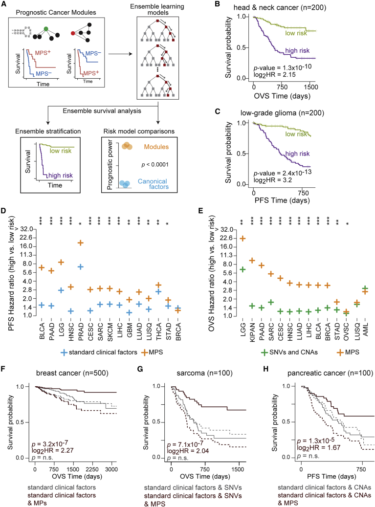 PMC10025453 – fig5