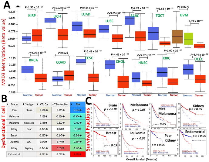 PMC8441106 – f0025