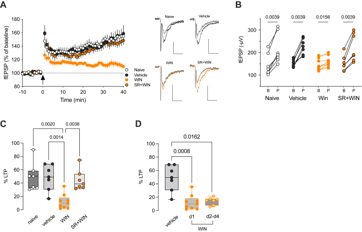 PMC11804564 – fig5
