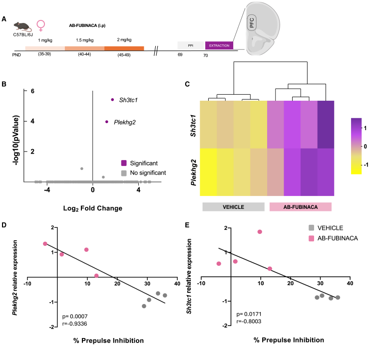 PMC11847088 – fig5