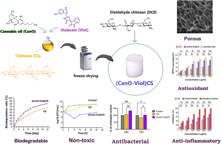 PMC11334822 – fig5