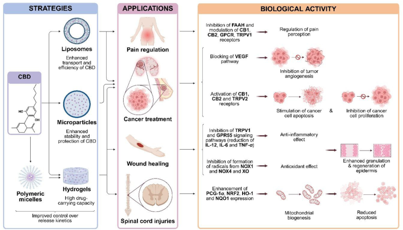 PMC13104654 – fig5