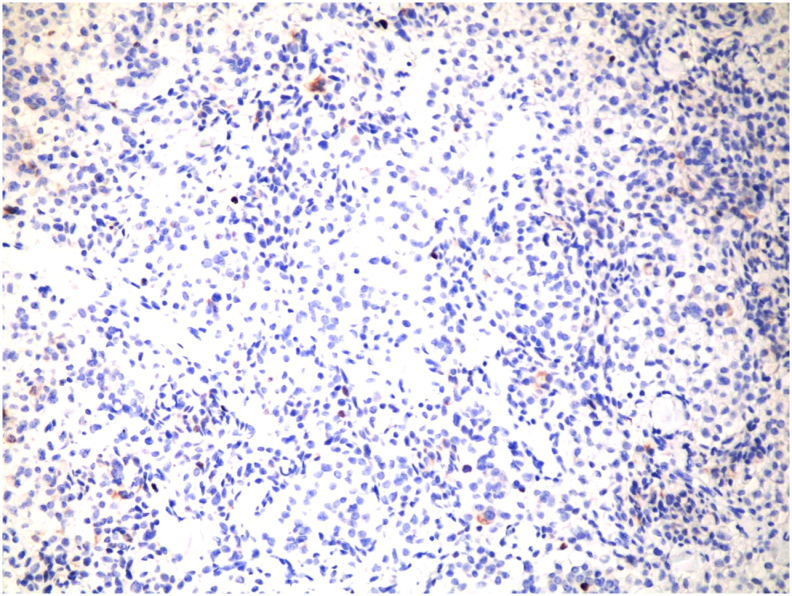 PMC8114107 – f0025