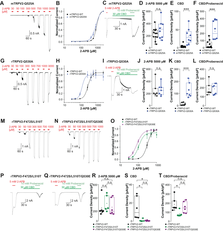 PMC12489355 – fig5