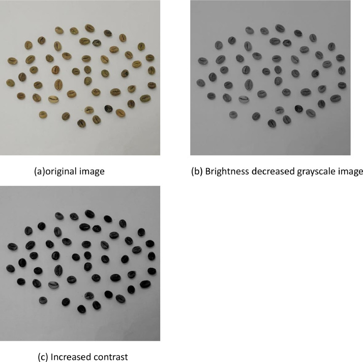 PMC11978365 – fig0005