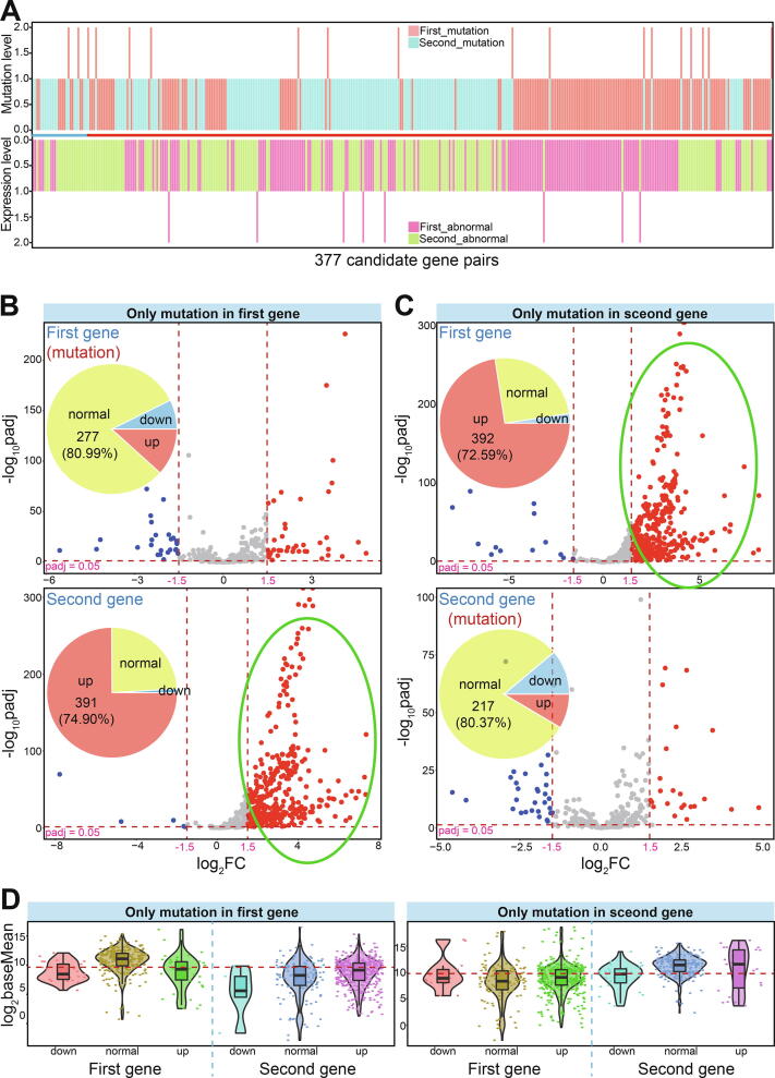 PMC7658657 – f0025