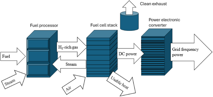 PMC11567127 – fig5
