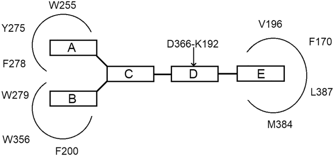 PMC7339067 – fig6