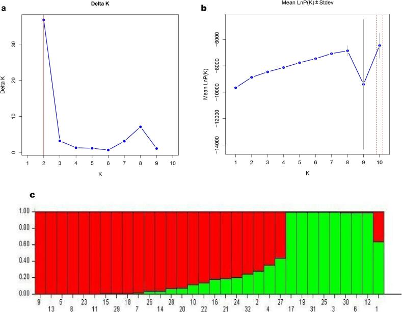 PMC11875165 – f0030